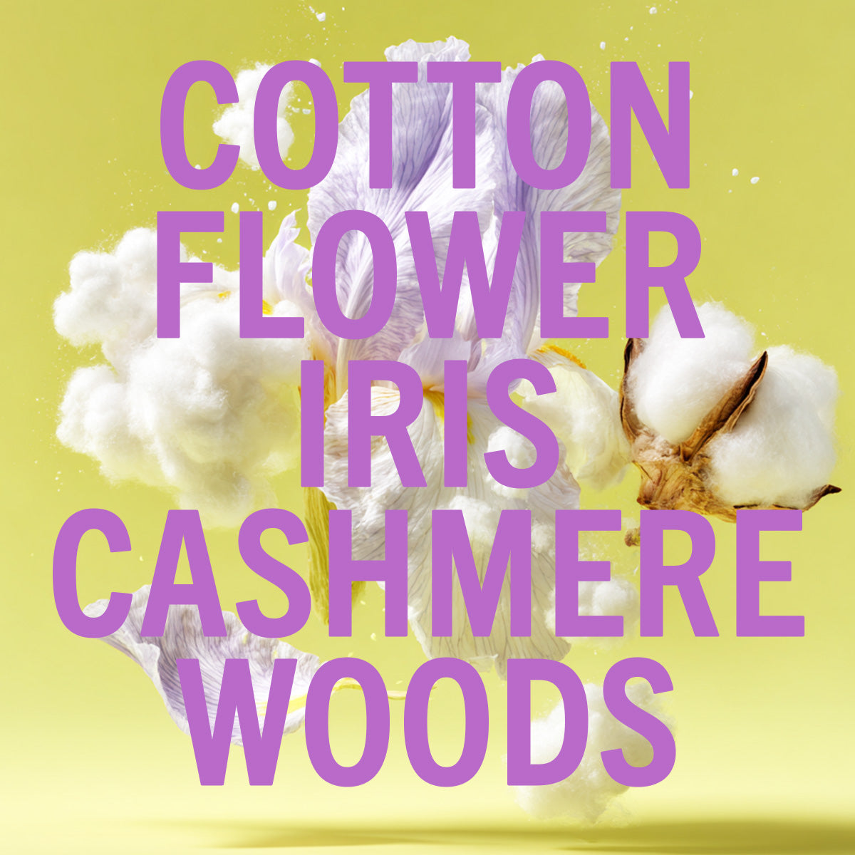 Cotton Flower Fragrance 10ml