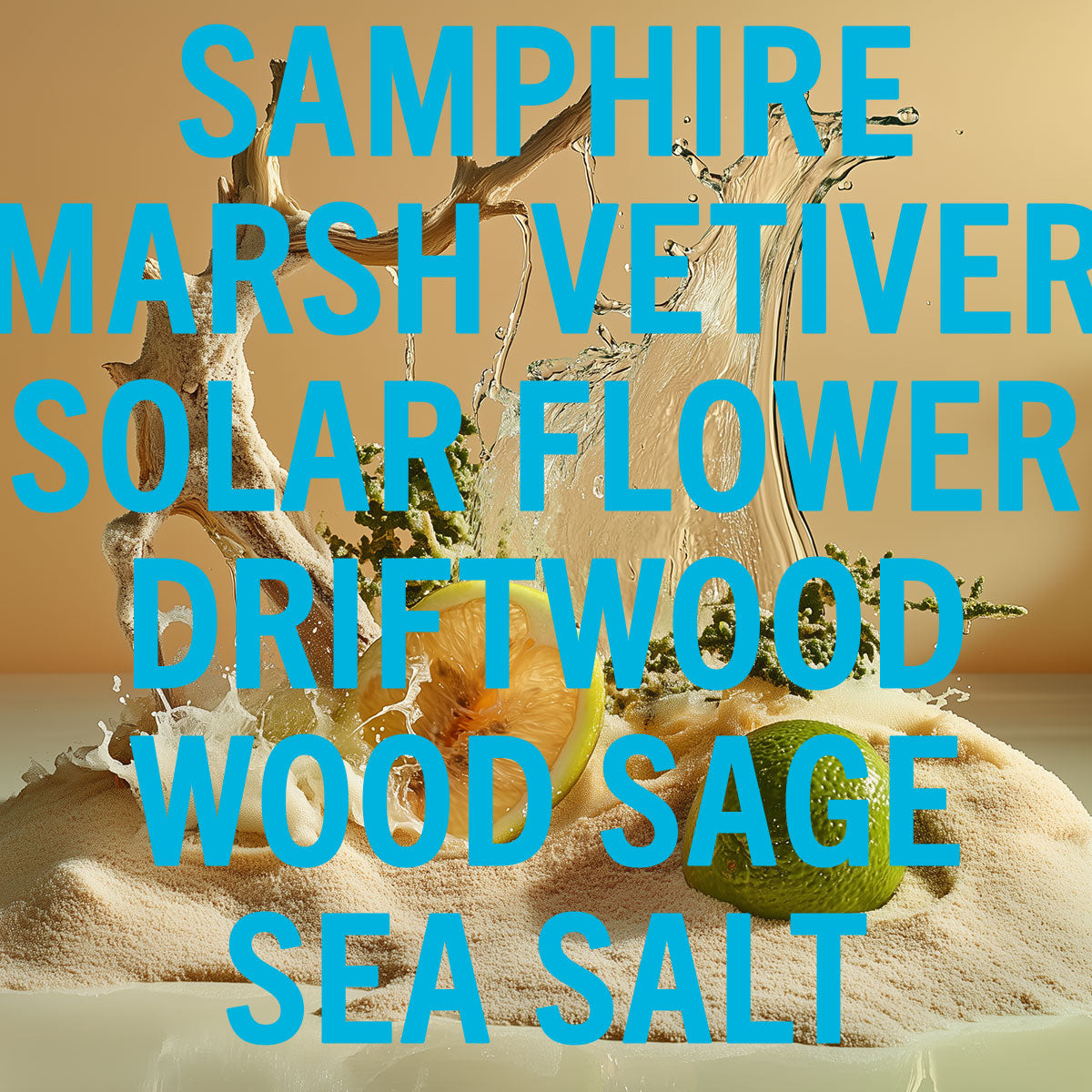 Driftwood Sea Salt Fragrance 10ml