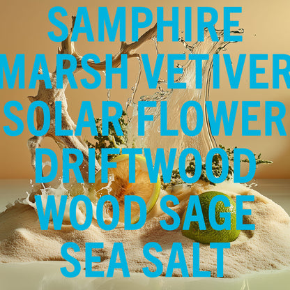 Driftwood Sea Salt Fragrance 10ml