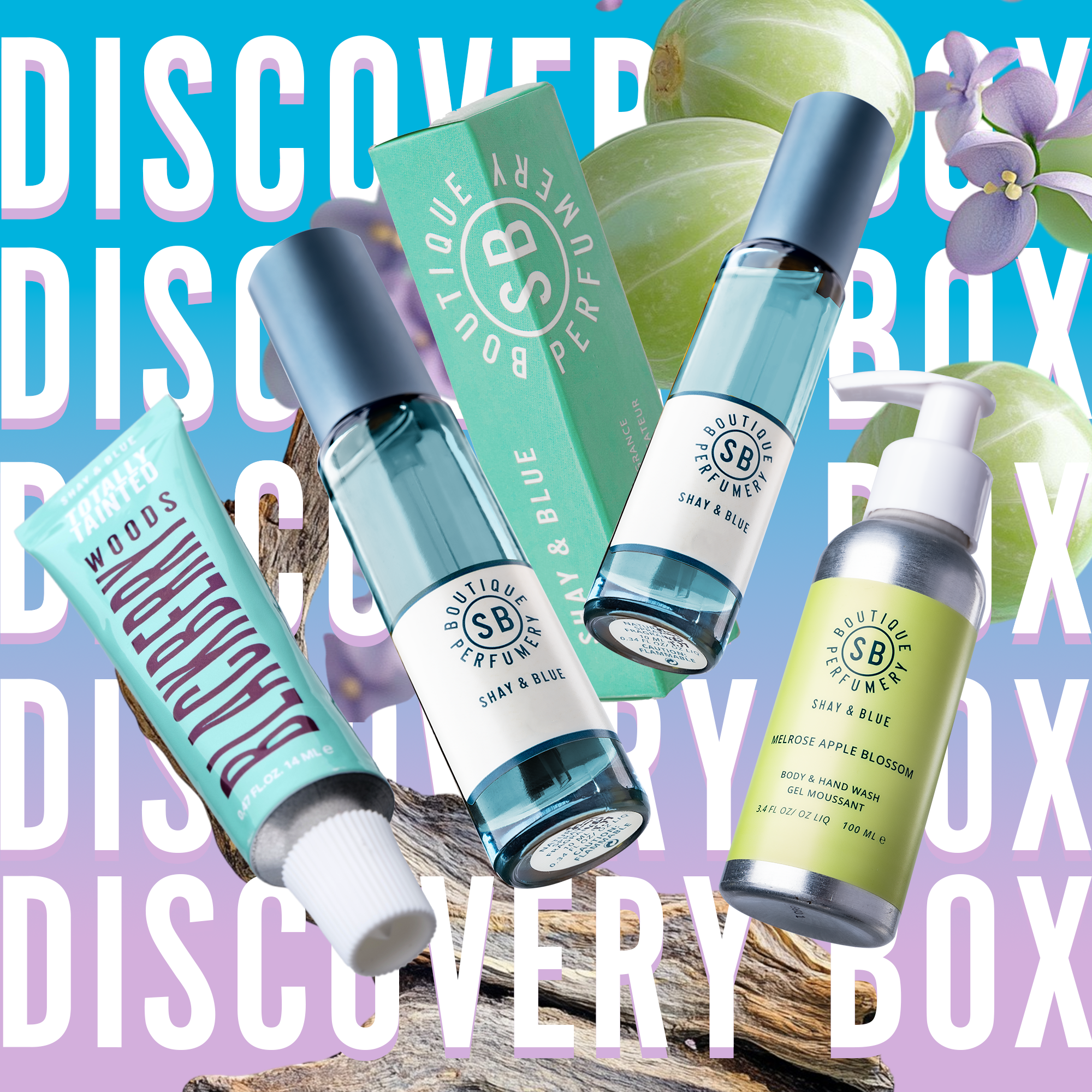 Discovery Box