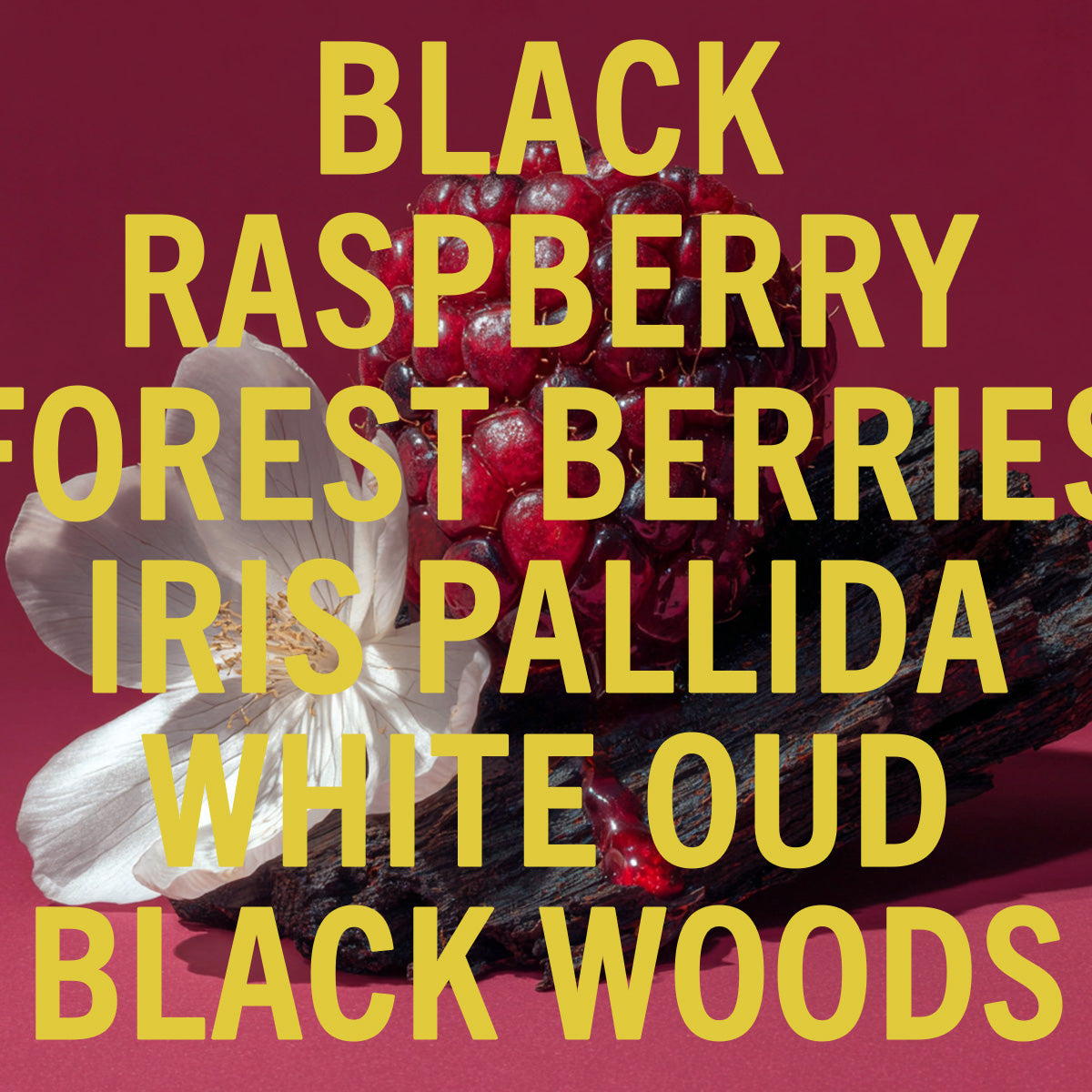 Framboise Noire Fragrance 10ml