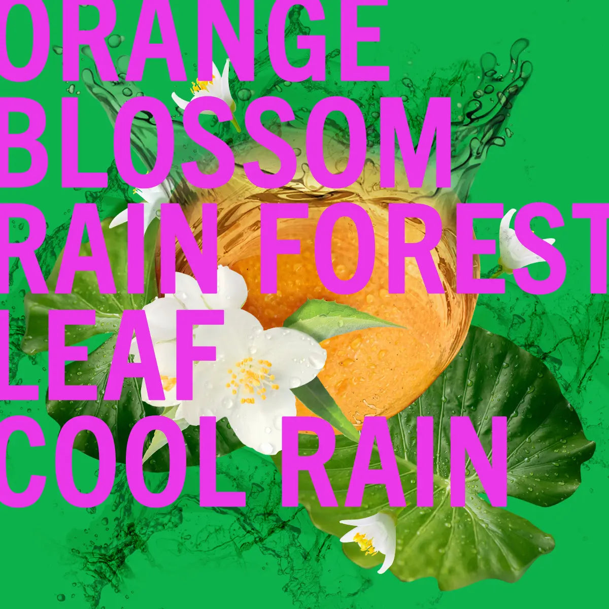 Limited Edition Rain Shower Leaf Fragrance 100ml