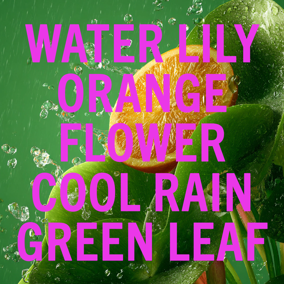 Rain Shower Leaf Fragrance 10ml