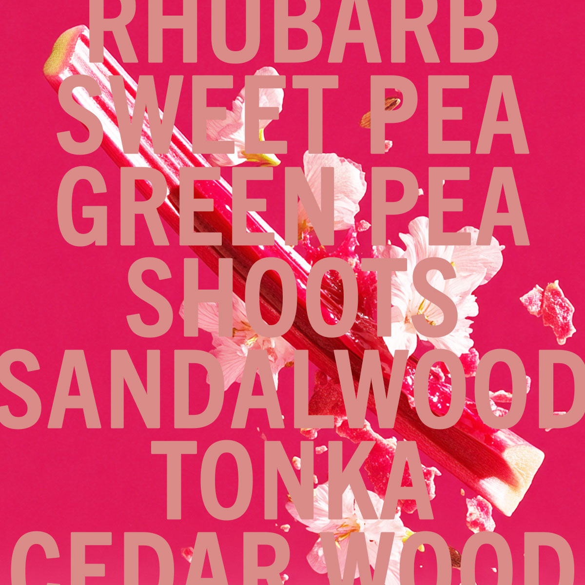 Rhubarb Sandalwood Fragrance 100ml