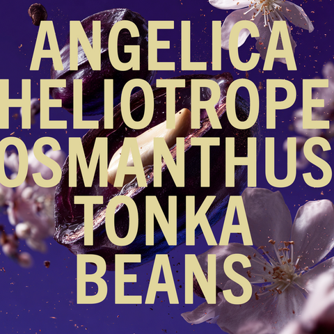 Tonka Angelica fragrance 100ml