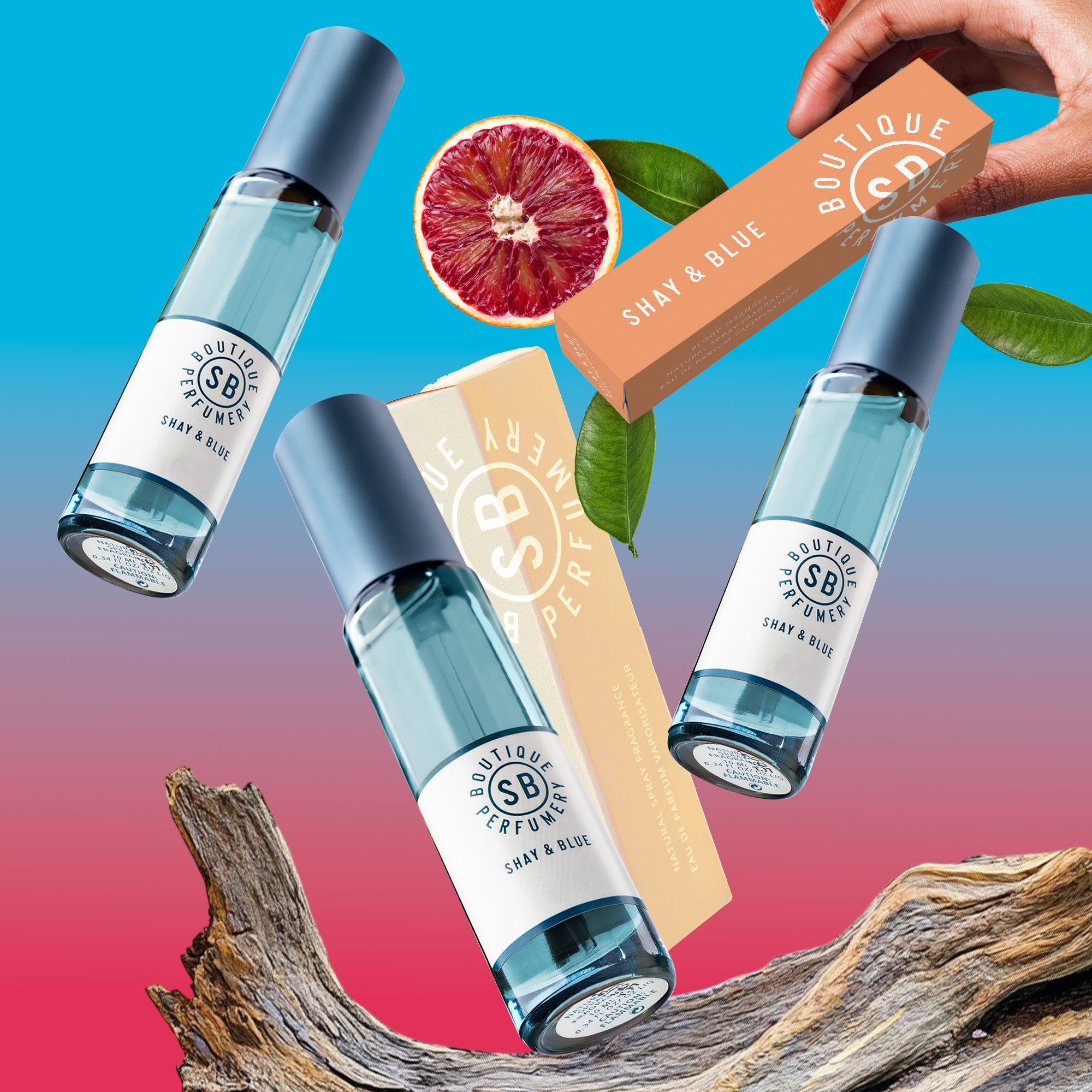 Seaside Citrus Trio Discovery Set