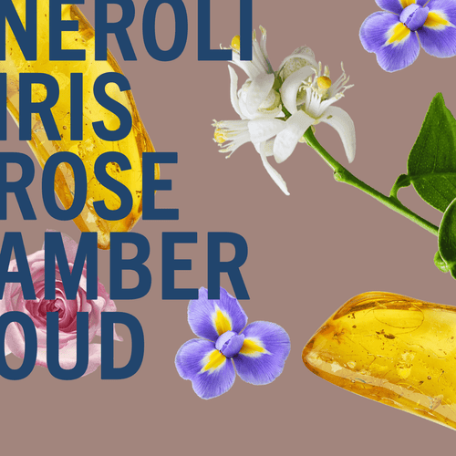 Amber Oud Ahad Fragrance Noir 100ml