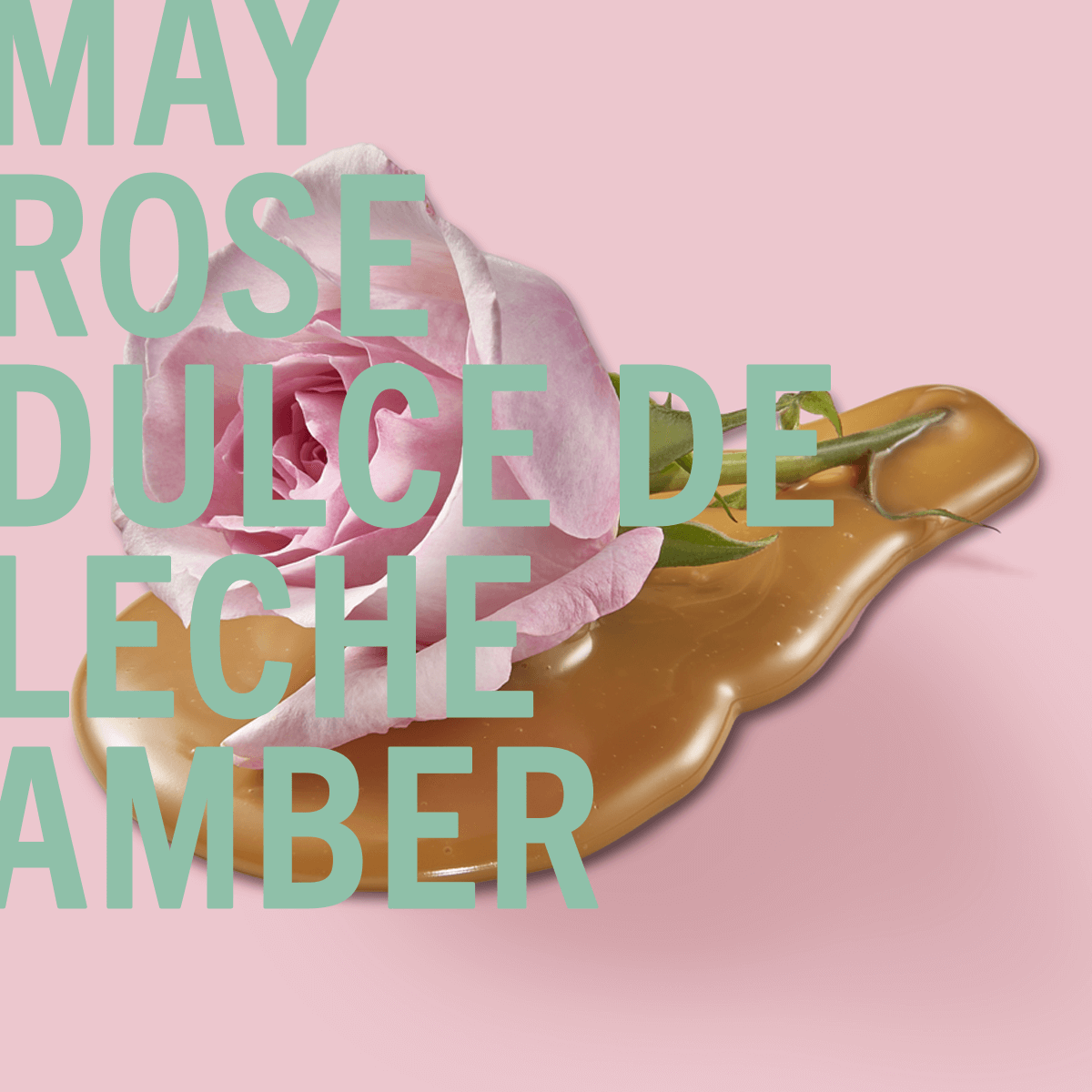 Amber Rose Fragrance 100ml