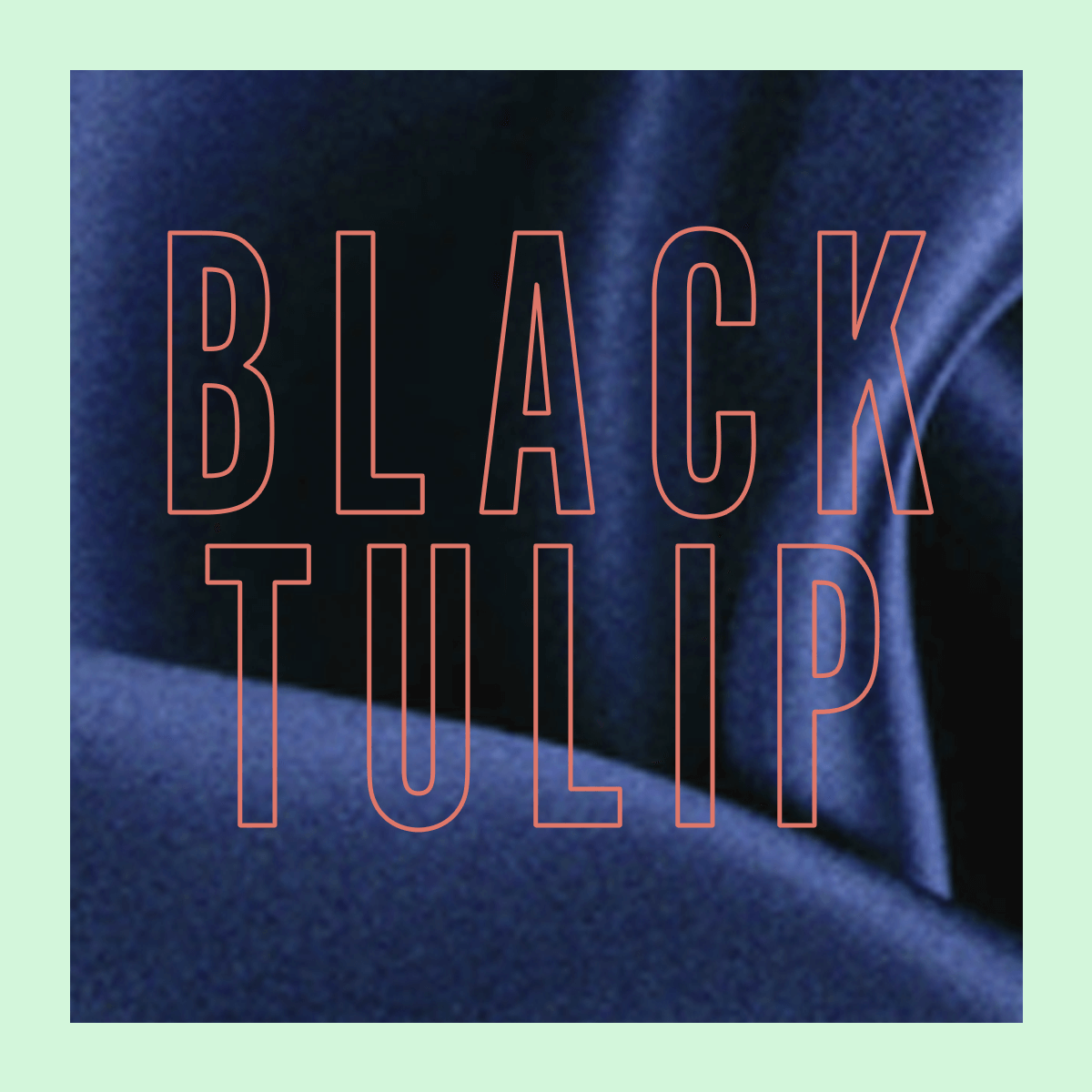 Black Tulip Fragrance 10ml