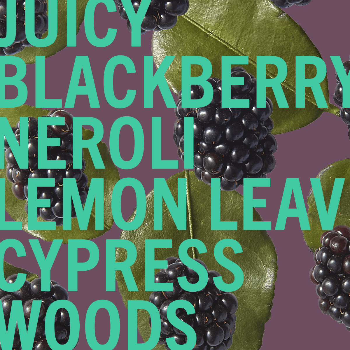 Blackberry Woods Sample