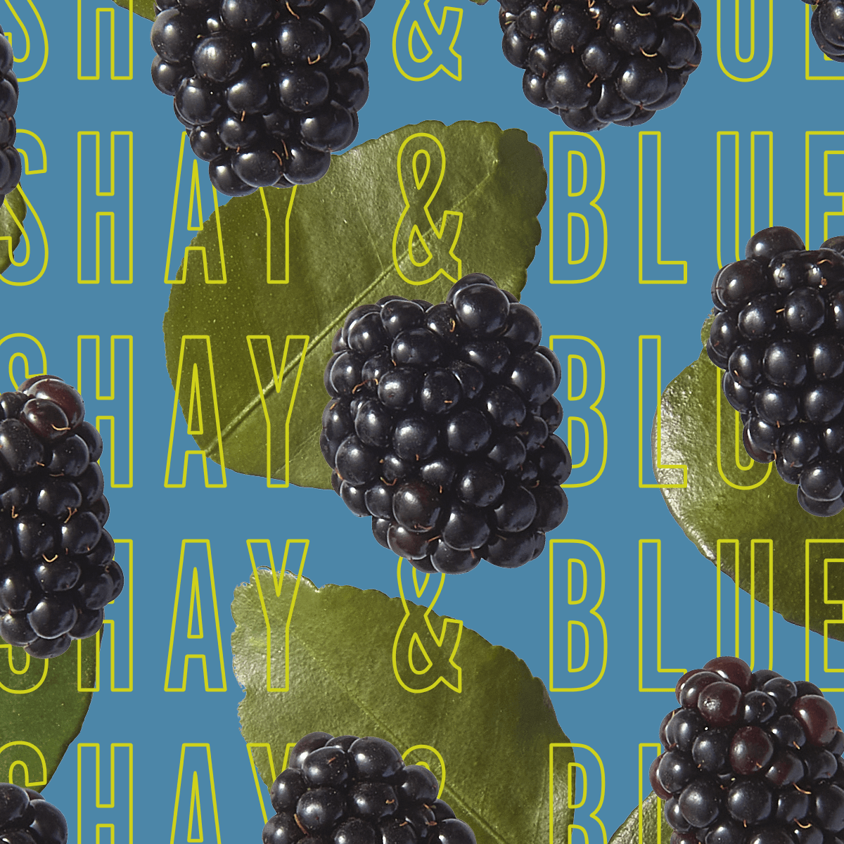 Blackberry Woods Fragrance 2ml