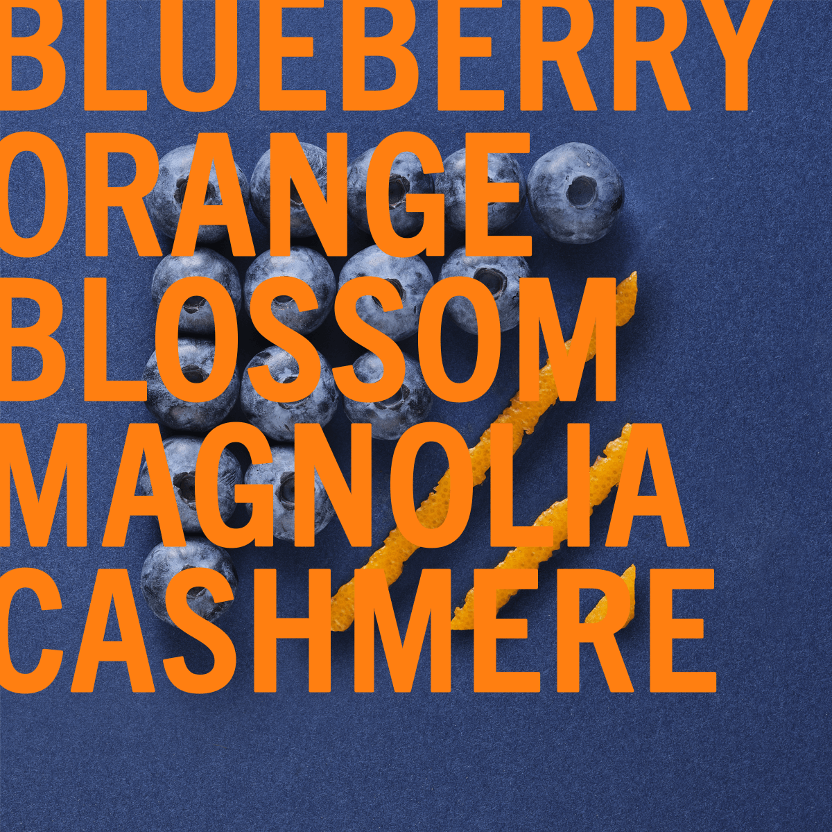 Blueberry Musk Fragrance 10ml