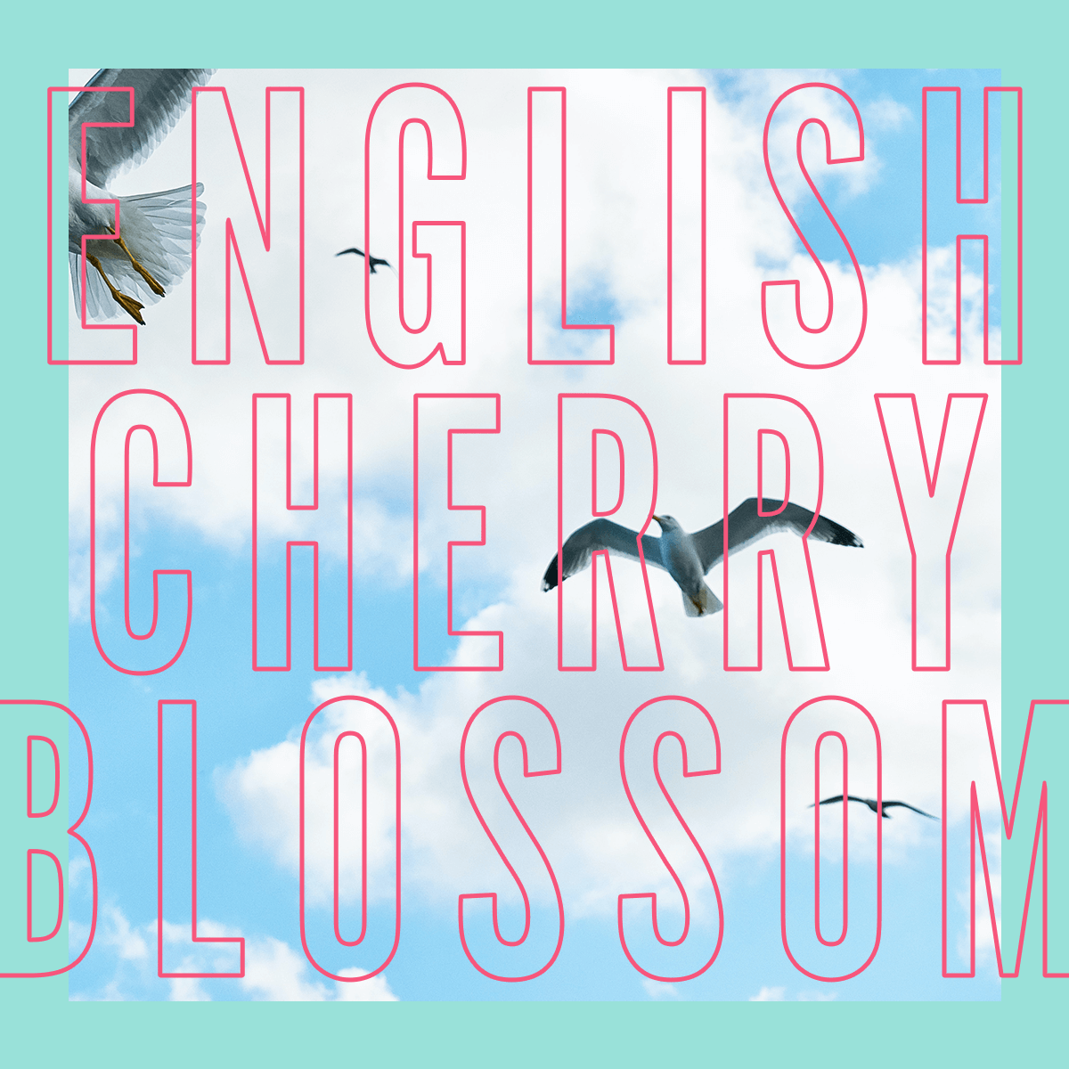 English Cherry Blossom Fragrance 30ml