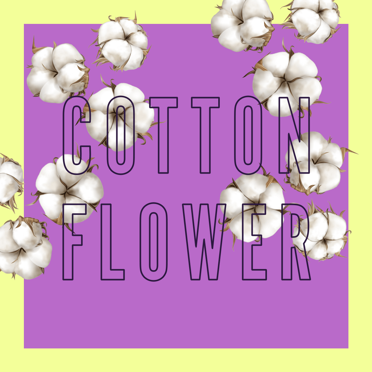 Cotton Flower 100ml Clean All Gender Fragrance Shay & Blue Shay