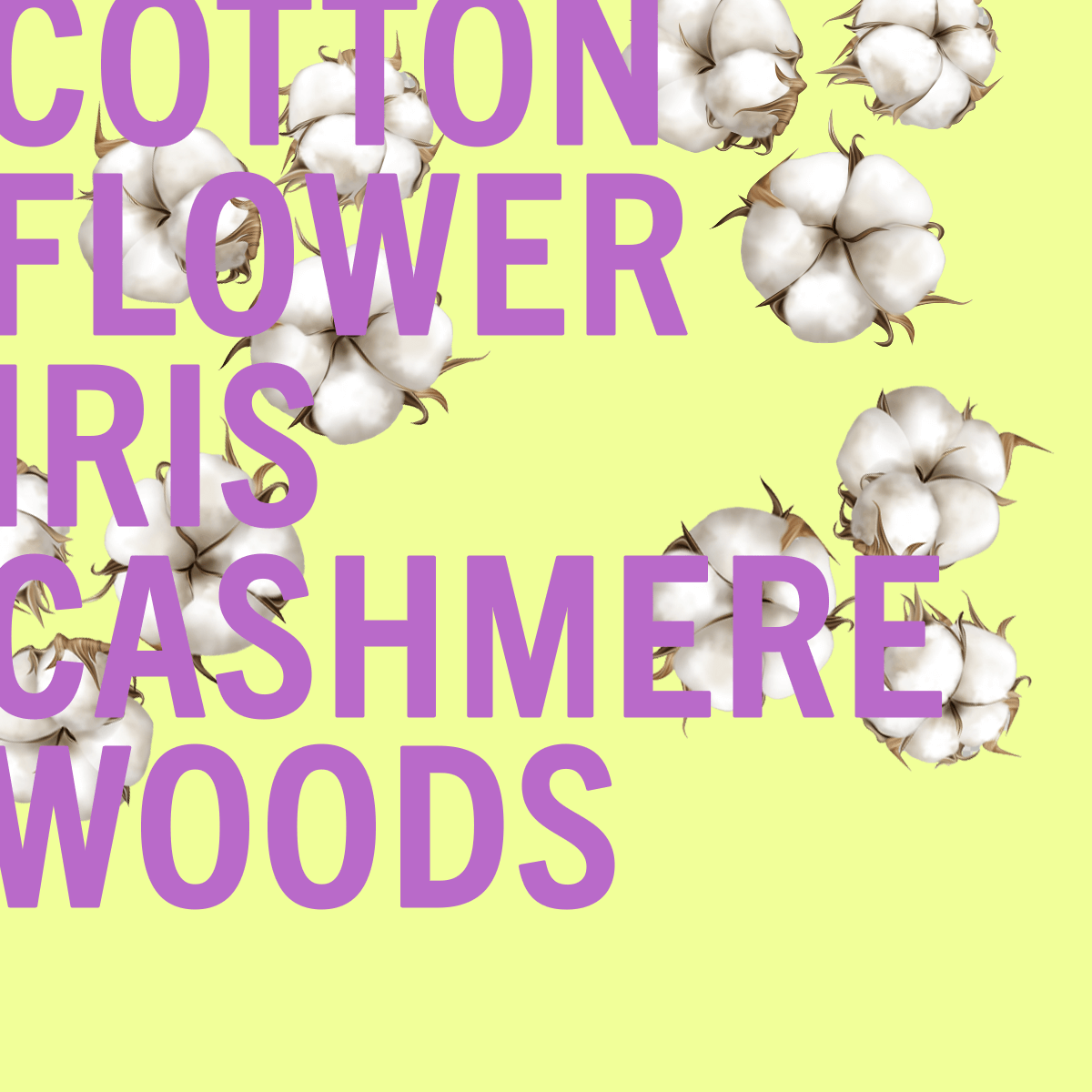 Limited Edition Cotton Flower Sample