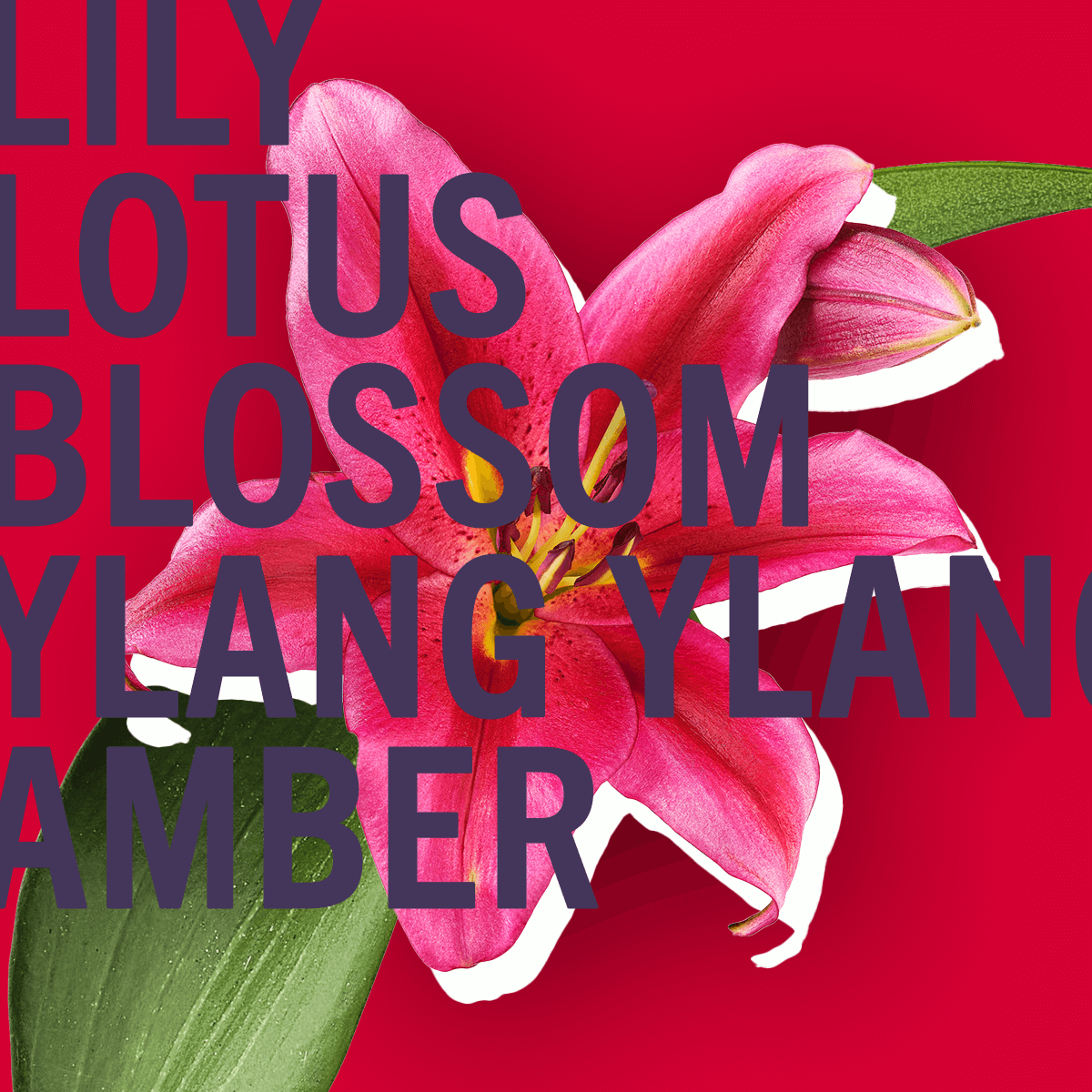 Scarlet Lily Fragrance 10ml