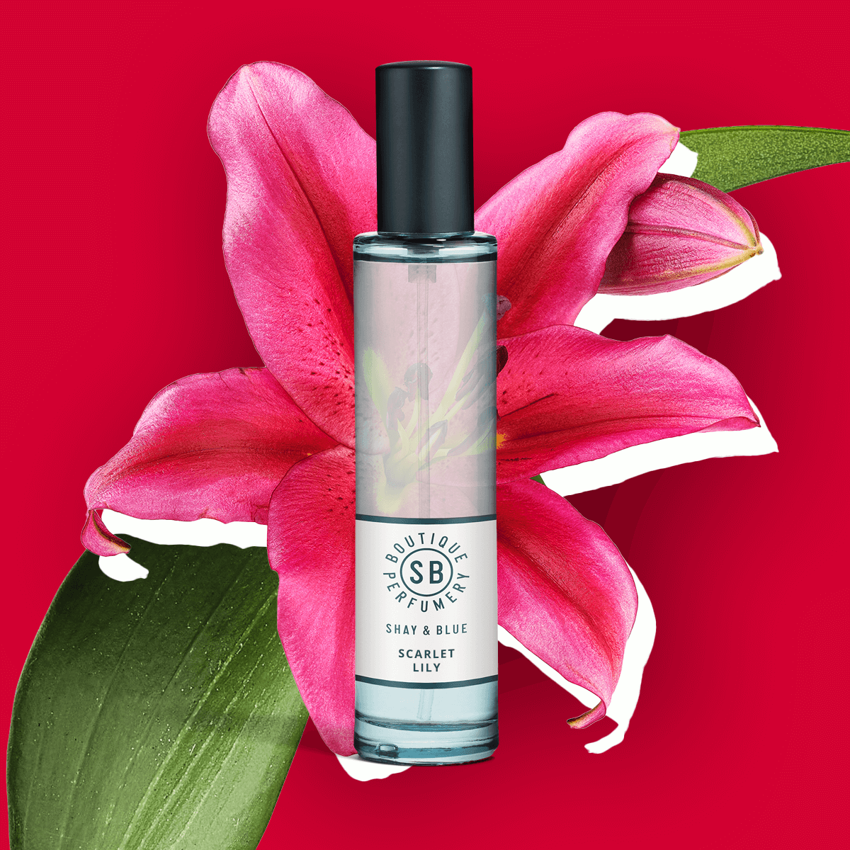 Scarlet Lily Fragrance 30ml | Big Blooms of Scarlet lily with undertones of ylang ylang. | Clean All Gender Fragrance | Shay & Blue