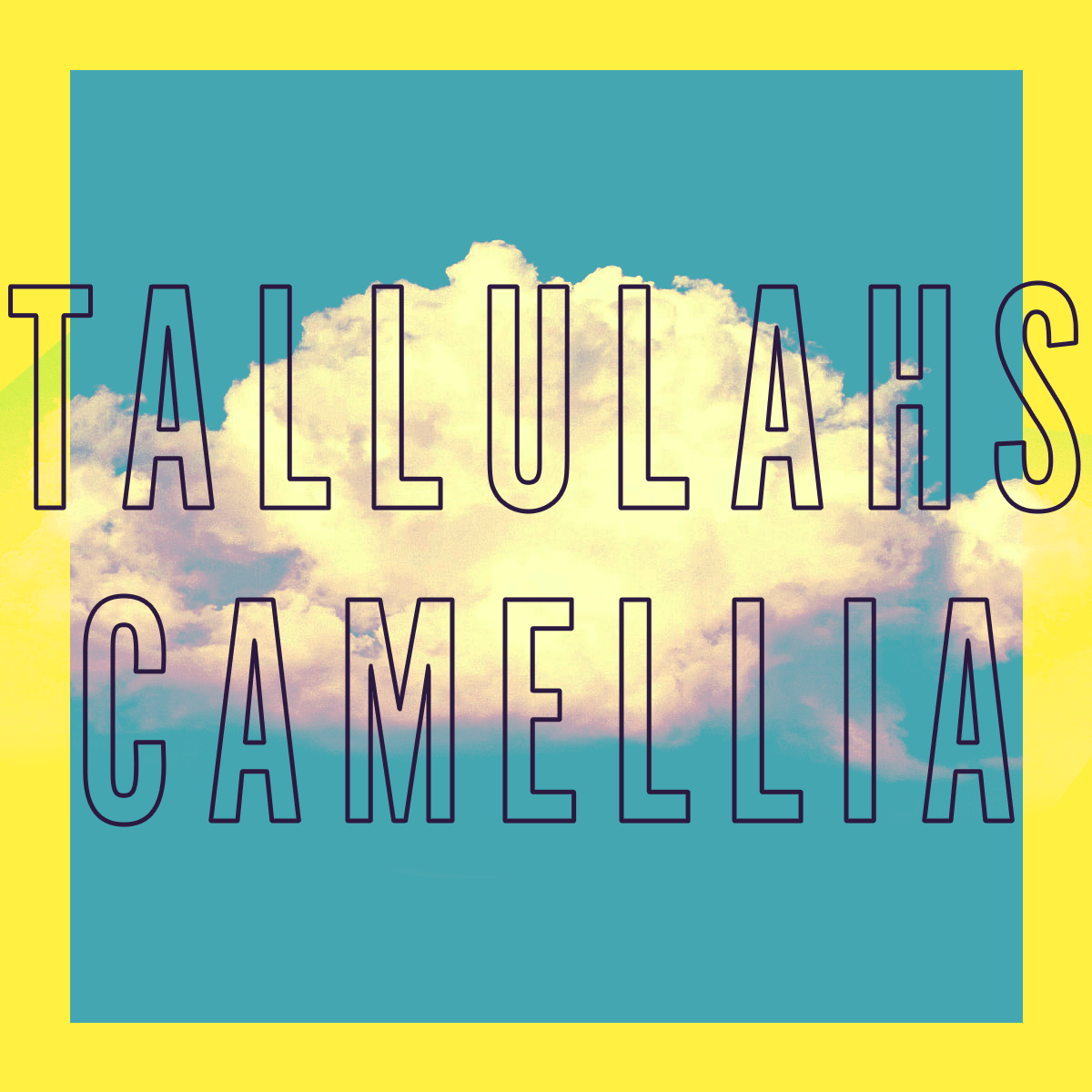 Tallulahs Camellia Sample