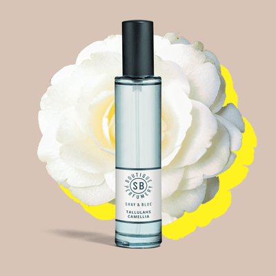 Tallulahs Camelia Fragrance 30ml | Elegant bluebells with the soft whisper of white flowers. | Clean All Gender Fragrance | Shay & Blue